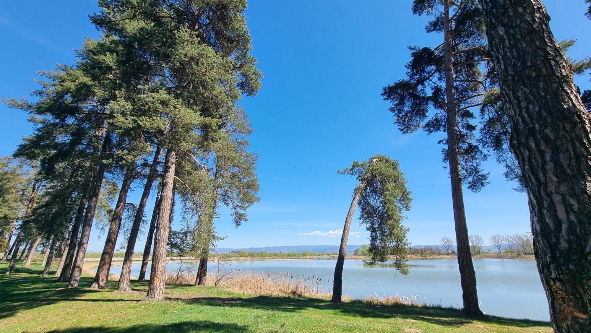 Casuta Din Povesti Villa Reci Exteriör bild